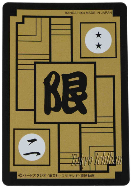 bulma erasa christmas