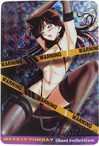 Detective Conan Sexy Card Ran Mori Warning Carddass