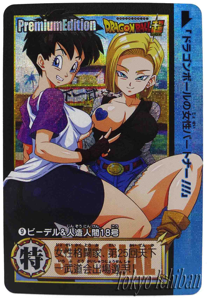 Dragon Ball Z Super Sexy Card Premium Carddass Japan